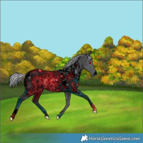 Horse Color:ERROR: UNKNOWN ANOMALY