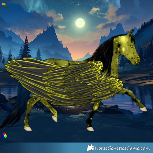 Horse Color:ERROR: UNKNOWN ANOMALY