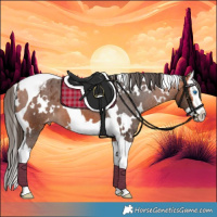 Horse Color:White Spotted Bay Splash Tobiano Varnish 
