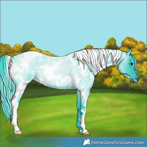 Horse Color:Watercolor White Spotted Blue Roan 