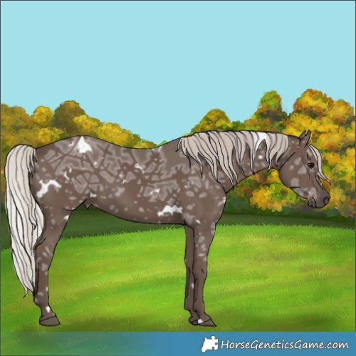 Horse Color:White Spotted Silver Black Ice 