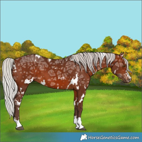 Horse Color:White Spotted Silver Brown Ice 