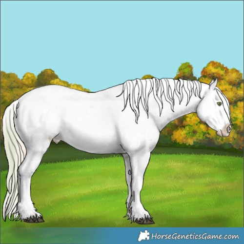 Horse Color:Plaid  White Spotted Chestnut Pearl Splash 