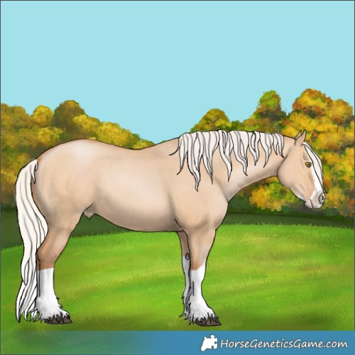 Horse Color:Silver Bay Pearl Dun Splash 