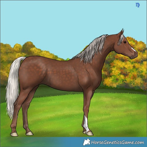 Horse Color:Silver Black 