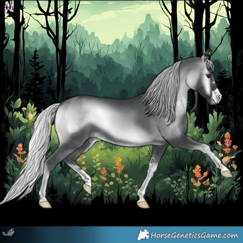 Horse Color:Silver Blue Onyx Chinchilla 