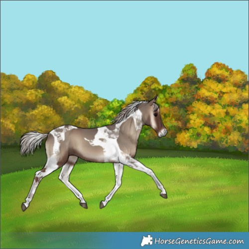 Horse Color:Silver Blue Onyx Tobiano 