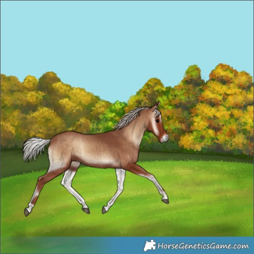 Horse Color:Silver Blue Onyx Brindle 