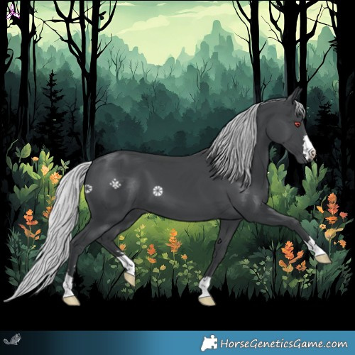 Horse Color:Silver Black Chinchilla