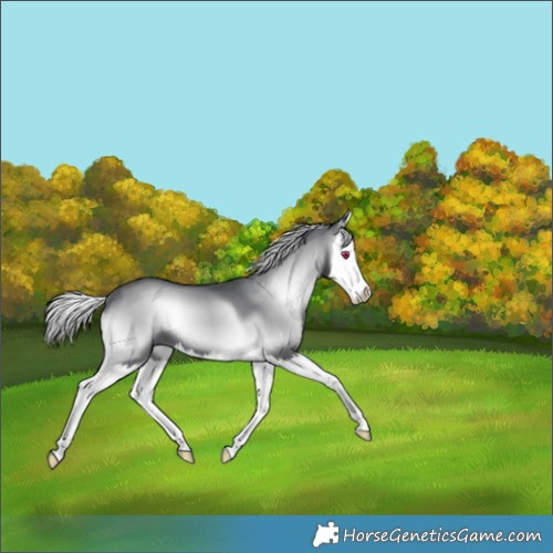 Horse Color:Silver Blue Onyx Chinchilla Splash 