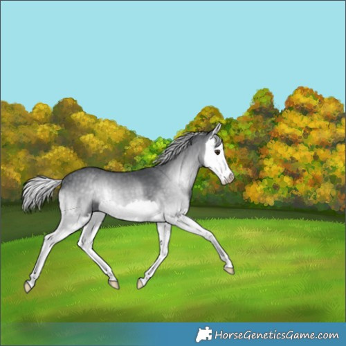 Horse Color:Silver Blue Onyx Chinchilla Splash Brindle 
