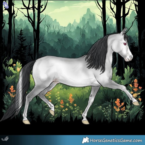 Horse Color:Sable Champagne Chinchilla Onyx
