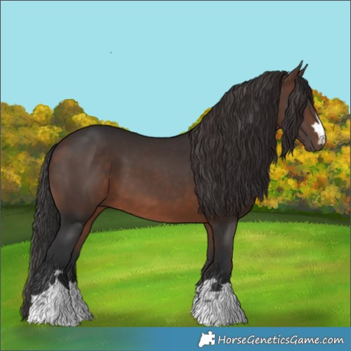 Horse Color:Brown 