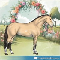 Horse Color:Buckskin Tobiano 