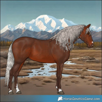 Horse Color:Silver Brown 