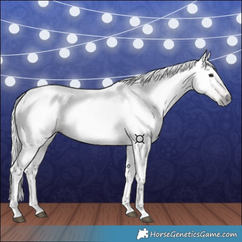 Horse Color:Gray Silver Bay 