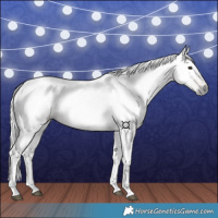 Horse Color:Gray Silver Bay 