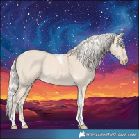 Horse Color:Cremello Dun Tobiano 