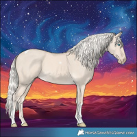 Horse Color:Cremello Dun Tobiano 