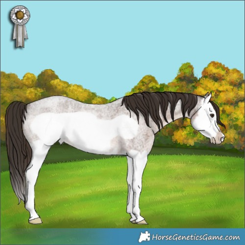 Horse Color:Liver Red Roan Splash Frame 