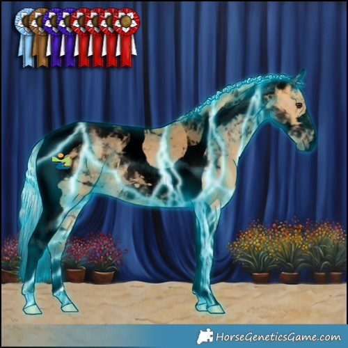 Horse Color:Void Thunderstruck Silver Buckskin Tobiano 