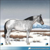 Horse Color:Brown Roan Tobiano Rabicano