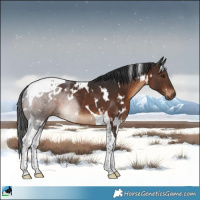 Horse Color:White Spotted Brown Tobiano Rabicano