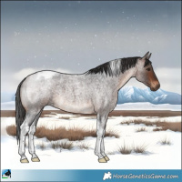 Horse Color:Brown Roan Tobiano Rabicano