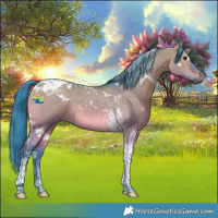 Horse Color:Watercolor White Spotted Brown Dun Tobiano 