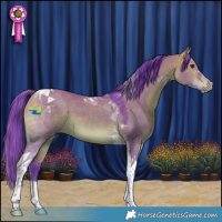 Horse Color:Watercolor Bay Dun Tobiano