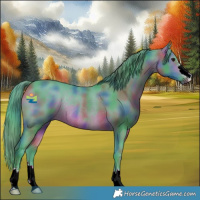 Horse Color:Nacre Watercolor Bay Rabicano 
