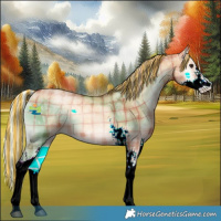 Horse Color:Painted Plaid Silver Bay Ice Pearl Onyx Sabino