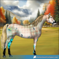 Horse Color:Painted Plaid  Silver Bay Ice Pearl Onyx Sabino 
