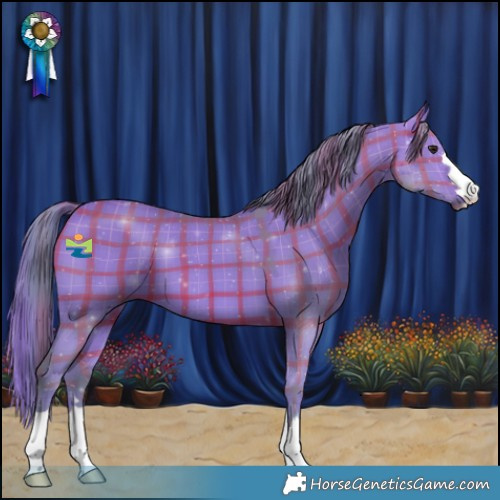 Horse Color:Watercolor Plaid  Bay Dun 