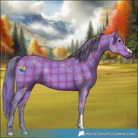 Horse Color:Watercolor Plaid  Bay Dun 