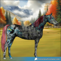 Horse Color:ERROR: UNKNOWN ANOMALY