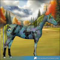 Horse Color:ERROR: UNKNOWN ANOMALY