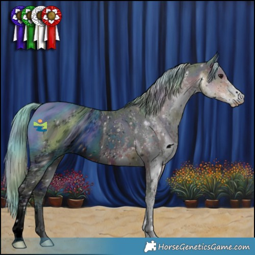 Horse Color:ERROR: UNKNOWN ANOMALY