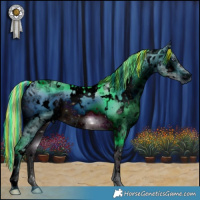 Horse Color:ERROR: UNKNOWN ANOMALY
