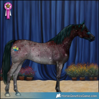 Horse Color:ERROR: UNKNOWN ANOMALY