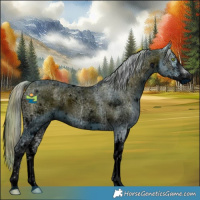 Horse Color:ERROR: UNKNOWN ANOMALY
