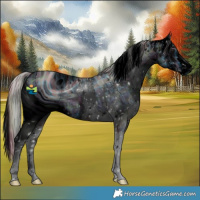 Horse Color:ERROR: UNKNOWN ANOMALY