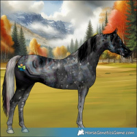Horse Color:ERROR: UNKNOWN ANOMALY