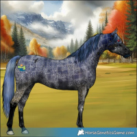 Horse Color:ERROR: UNKNOWN ANOMALY