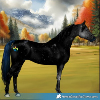 Horse Color:ERROR: UNKNOWN ANOMALY