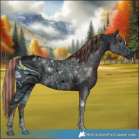 Horse Color:ERROR: UNKNOWN ANOMALY