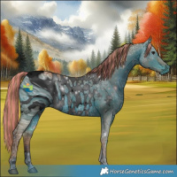 Horse Color:ERROR: UNKNOWN ANOMALY
