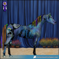 Horse Color:ERROR: UNKNOWN ANOMALY