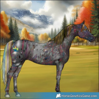 Horse Color:ERROR: UNKNOWN ANOMALY