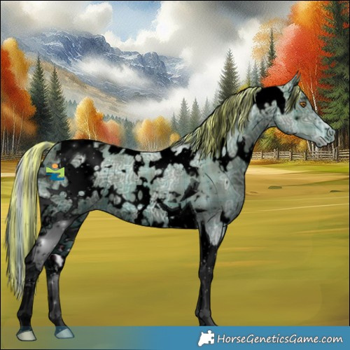 Horse Color:ERROR: UNKNOWN ANOMALY